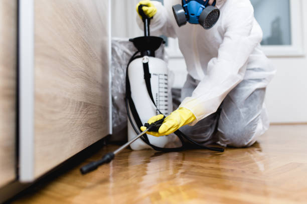 Best Ant Control Services  in Lake Ketchum, WA