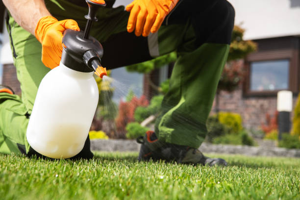 Best Pest Prevention Services  in Lake Ketchum, WA